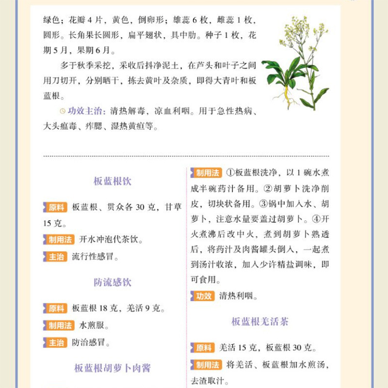 Single Herb TCM Nourishment Qu - đánh giá và giá Herbal Wellness Tonic